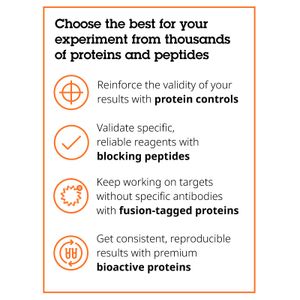 Anti-mCherry antibody(AB167453)