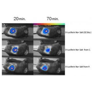 Luciferin -for Transfection Assay