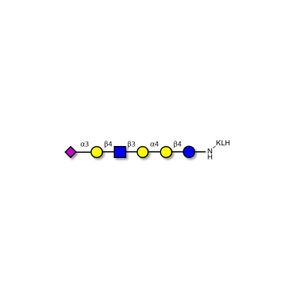Stage-Specific Embryonic Antigen-4 (SSEA-4) hexaose analogue type 2 grafted on KLH