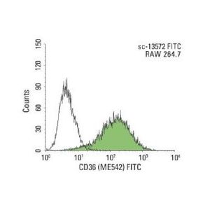 CD36 (ME542) FITC