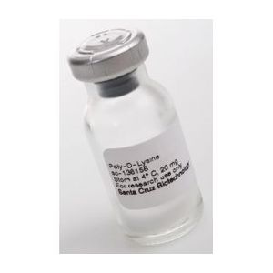 Poly-D-Lysine