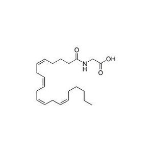 N-Arachidonoyl glycine (solution in ethanol)