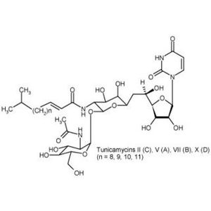 Tunicamycin