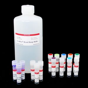 AccuBlue® Broad Range dsDNA Quantitation Kit with DNA Standard, trial size (200 assays)