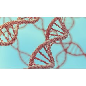 APAgene™ GOLD-RT Genome Walking Kits