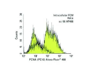 PCNA PC10 Science Company Labroots