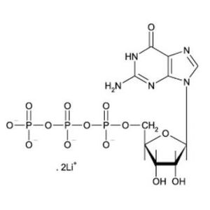 Guanosine 5'-triphosphate dilithium salt-2