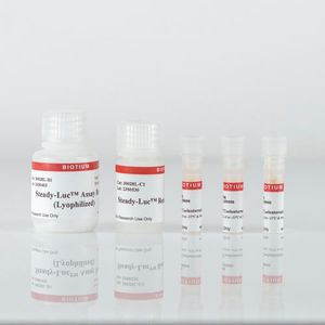 Steady-Luc™ Firefly HTS Assay Kit (Lyophilized), 1000 Assays