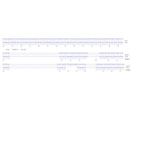 Alexa Fluor® 555 Conjugation Kit (Fast) - Lightning-Link®(AB269820)
