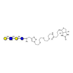 Lacto-N-neotetraose (LNnT / neo-LNT) linked to biotin (Linker-BT A)