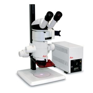 Leica Microsystems MZ10 F Modular Stereo Microscopes for Fluorescent Imaging