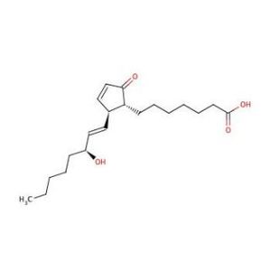 PGA1 (Prostaglandin A1)