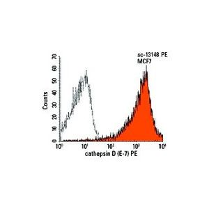 cathepsin D (E-7) PE
