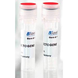 INSECTOGENE - Transfection Reagent for Insect Cells