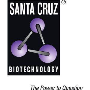 Angiotensin Receptor inhibitor
