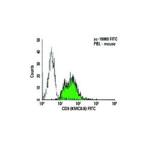 CD9 (KMC8.8) Alexa Fluor® 546