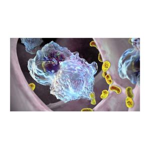 QBeads ® DevScreen: SH (Sulfhydryl)