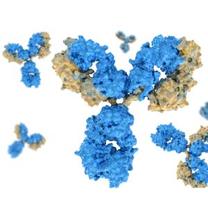 Monoclonal antibodies to gliadin (test sample set)