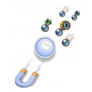 ViroMag Stem Transduction Enhancer