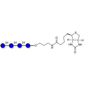 Cellotetraose linked to biotin (Linker-BT B)