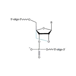 Locked nucleic acid (LNA) probes