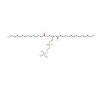 1,2-Dimyristoyl-sn-glycero-3-phosphocholine-3 | Science