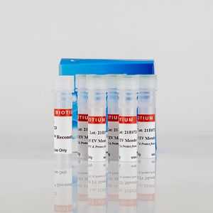 ExoBrite™ 640/660 WGA EV Staining Kit, 500 labelings