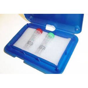 PEPperCHIP® Staining Kit