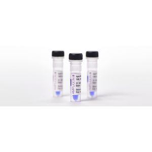 "Iqon Low DNA Ladder, 100 – 1000 bp 100 lanes"