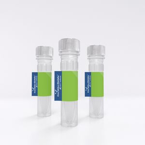 Anti-HBV Exbivirumab Antibody, a Fc Silent Biobetter