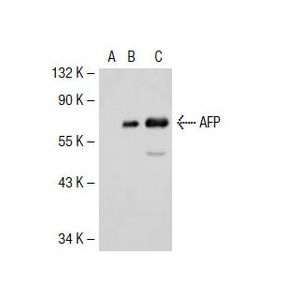 AFP (C3) Alexa Fluor® 647