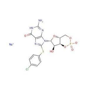 8-(4-Chlorophenylthio)guanosine 3',5'-cyclic Monophosphate sodium salt
