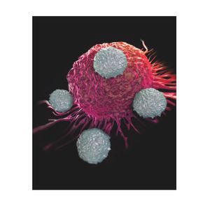 iQue® Human NK Cell Killing Kit