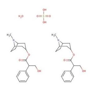 Atropine Sulfate Monohydrate-2