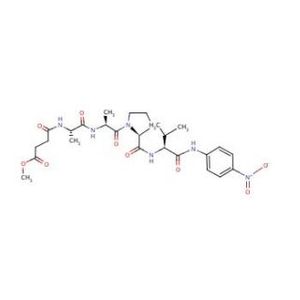MeOSuc-AAPV-pNA, Chromogenic Substrate