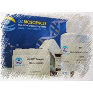MTT Cell Proliferation Kit -for Transfection Assay