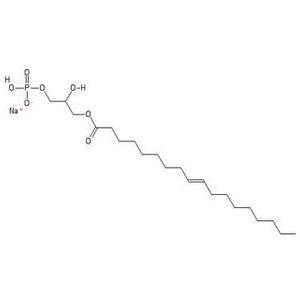 Lysophosphatidic Acid-2