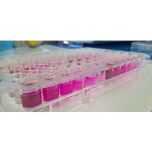 Nitric Oxide Detection Kit -for Transfection Assay
