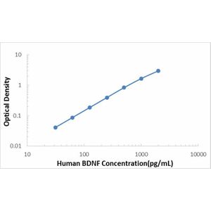 Human Brain Derived Neurotrophic Factor ELISA Kit (BDNF)