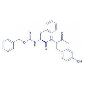 Cathepsin L inhibitor