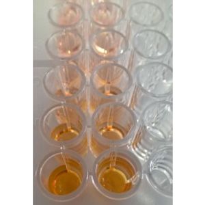 WST-8 Cell Proliferation Kit -for Transfection Assay