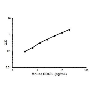 Lipid Extraction Kit (Chloroform Free)(AB211044)