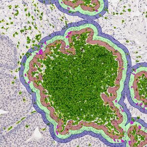 StrataQuest Spatial Image Analysis Software