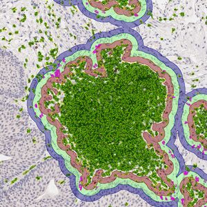 StrataQuest Spatial Image Analysis Software