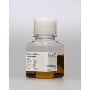 Foetal Bovine Serum – US Origin