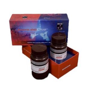 Western Blotting Luminol Reagent