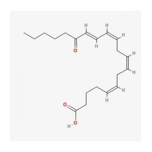 15-KETE (15-oxo-ETE)-2