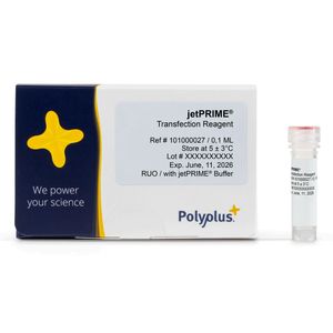 jetPRIME® DNA/siRNA (co-) transfection