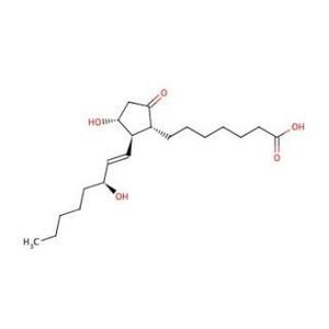 PGE1 (Prostaglandin E1)