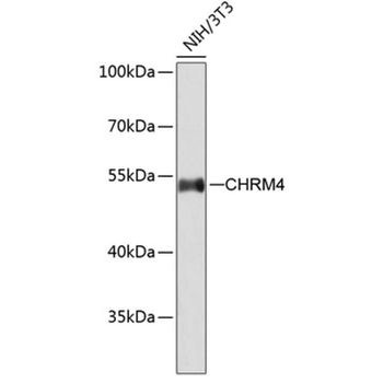 Anti-CHRM4 antibody | Science Company | Labroots